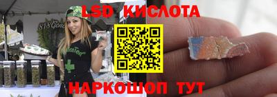 молекула духа Сланцы