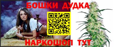 молекула духа Сланцы
