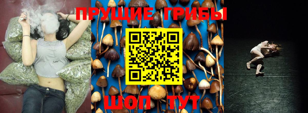 Псилоцибиновые грибы мицелий  Галлюциногенные грибы прущие грибы  Вход с VPN  Нурлат 