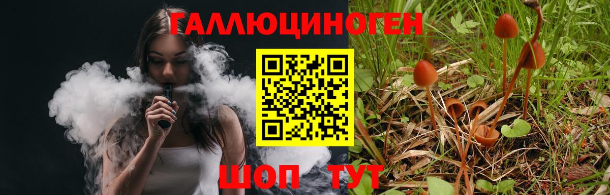 Псилоцибиновые грибы Psilocybe Нурлат